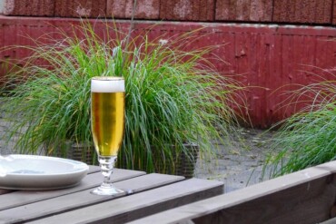 В 2022 году в Украине на 32% сократилось производство пива и на 42,5% — производство солода