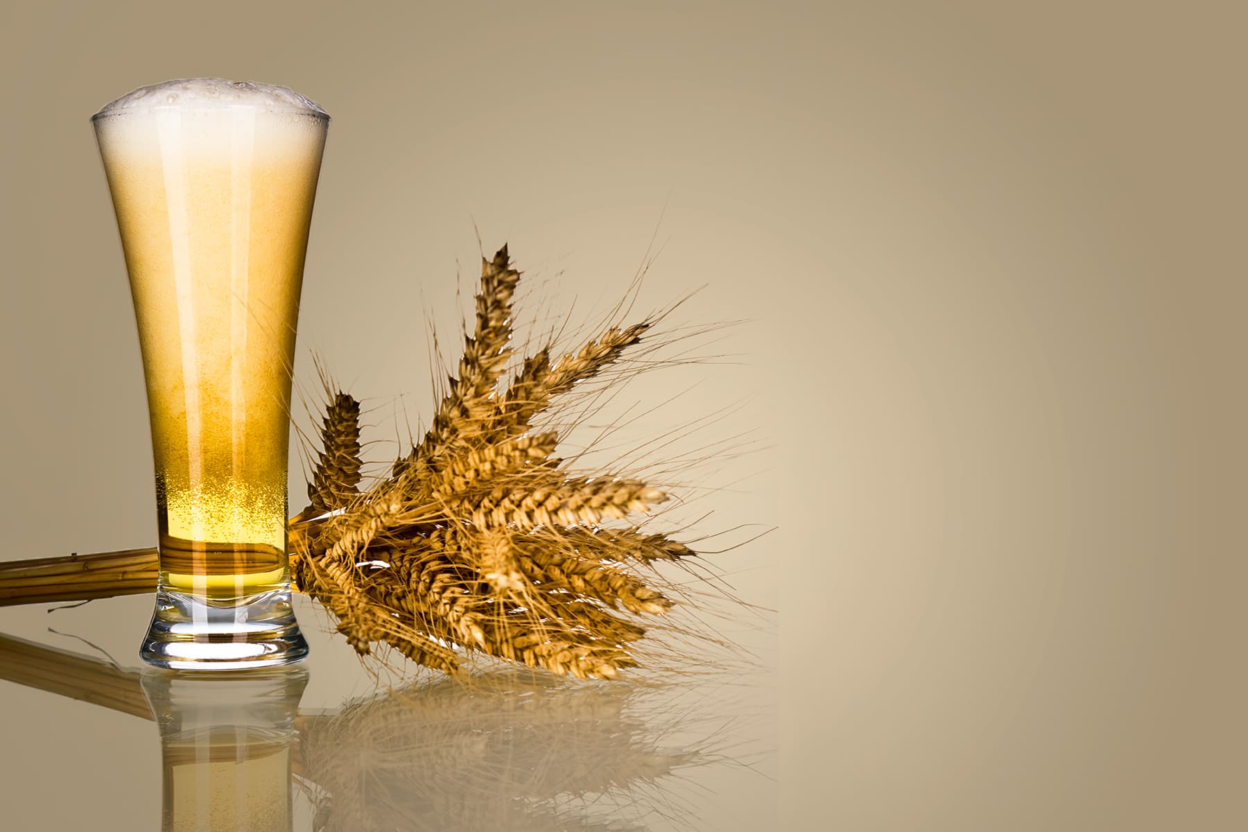 Одна пляшка пива на день може покращити мікробіом вашого кишечника