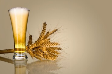 Одна бутылка пива в день может улучшить микробиом вашего кишечника